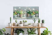 Farmhouse Geraniums I